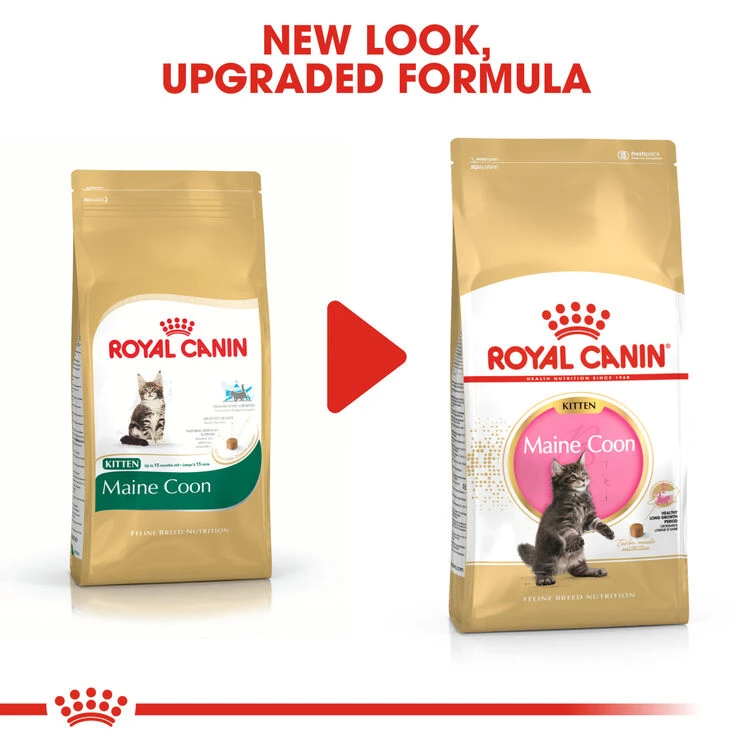 ROYAL CANIN® Maine Coon Kitten Dry Food 5 ROYAL CANIN® Maine Coon Kitten Dry Food - Image 3
