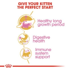 ROYAL CANIN® Maine Coon Kitten Dry Food 17 ROYAL CANIN® Maine Coon Kitten Dry Food -Purry Food Sales Store q3wtfamszdzl5ezxr8yd