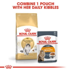 ROYAL CANIN® Norwegian Forest Adult Dry Cat Food -Purry Food Sales Store qostza8x8wddsjee4hx5
