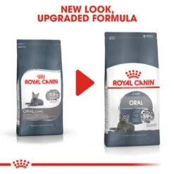 ROYAL CANIN® Oral Care Adult Dry Cat Food -Purry Food Sales Store qy0t2ffvztl9bcmpvpgq