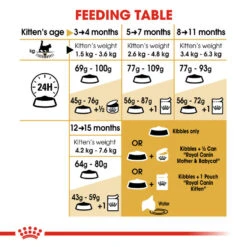 ROYAL CANIN® Maine Coon Kitten Dry Food 15 ROYAL CANIN® Maine Coon Kitten Dry Food -Purry Food Sales Store rmkn7nbj0g8lleyg7nra