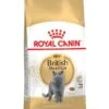 ROYAL CANIN® British Shorthair Adult Dry Cat Food -Purry Food Sales Store rpthfxdjomt2qgdux22q