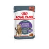 ROYAL CANIN® Appetite Control Care In Gravy Adult Wet Cat Food -Purry Food Sales Store sa5mmuzjv5i3o9x6l3a8