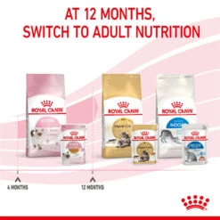 ROYAL CANIN® Kitten In Jelly Wet Food -Purry Food Sales Store t4roxei3emgahxkklfpo