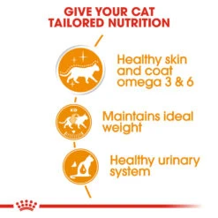 ROYAL CANIN® Intense Beauty Care In Gravy Adult Wet Cat Food -Purry Food Sales Store tq8lm1p5y3jmrcdpah34