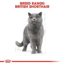 ROYAL CANIN® British Shorthair Adult Dry Cat Food 17 ROYAL CANIN® British Shorthair Adult Dry Cat Food -Purry Food Sales Store ug5hscevubwzsebfa4aw