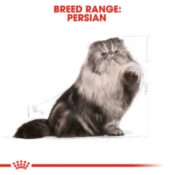ROYAL CANIN® Persian Adult Dry Cat Food -Purry Food Sales Store uifu0soflt9ybf0iumu1