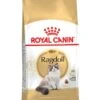 ROYAL CANIN® Ragdoll Adult Dry Cat Food -Purry Food Sales Store utqdp0y6knmsttaei2uw
