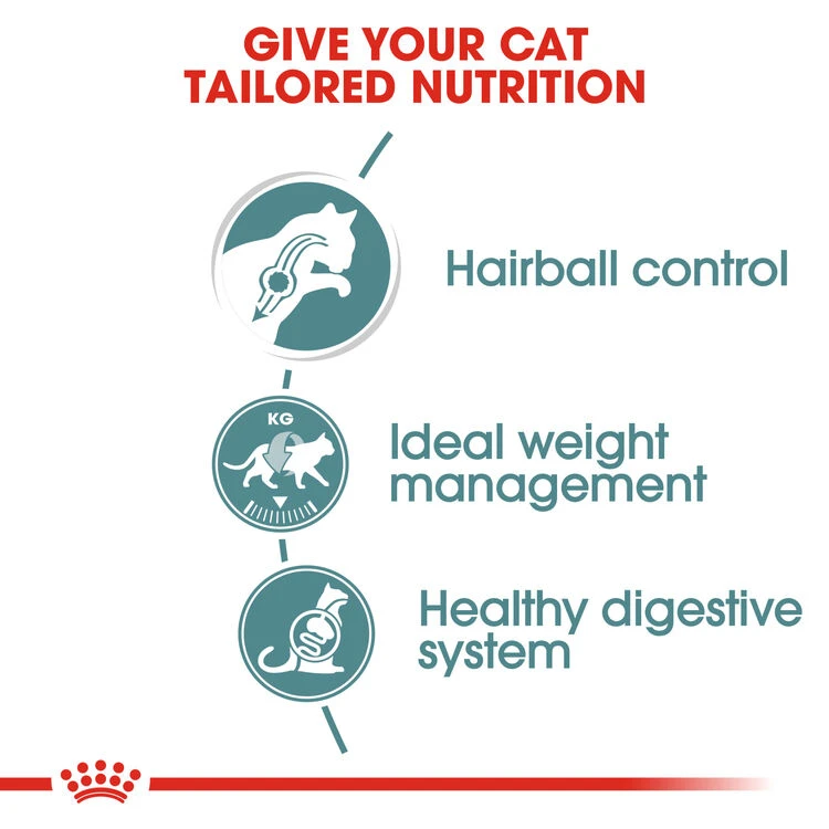 ROYAL CANIN® Hairball Care In Gravy Adult Wet Cat Food 10 ROYAL CANIN® Hairball Care In Gravy Adult Wet Cat Food - Image 8