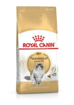 ROYAL CANIN® Norwegian Forest Adult Dry Cat Food
