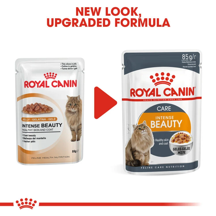 ROYAL CANIN® Intense Beauty Care In Jelly Adult Wet Cat Food 5 ROYAL CANIN® Intense Beauty Care In Jelly Adult Wet Cat Food - Image 3