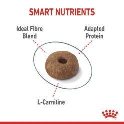 ROYAL CANIN® Light Weight Care Adult Dry Cat Food 17 ROYAL CANIN® Light Weight Care Adult Dry Cat Food -Purry Food Sales Store vxxat8l8ckaqf3e3dwjd