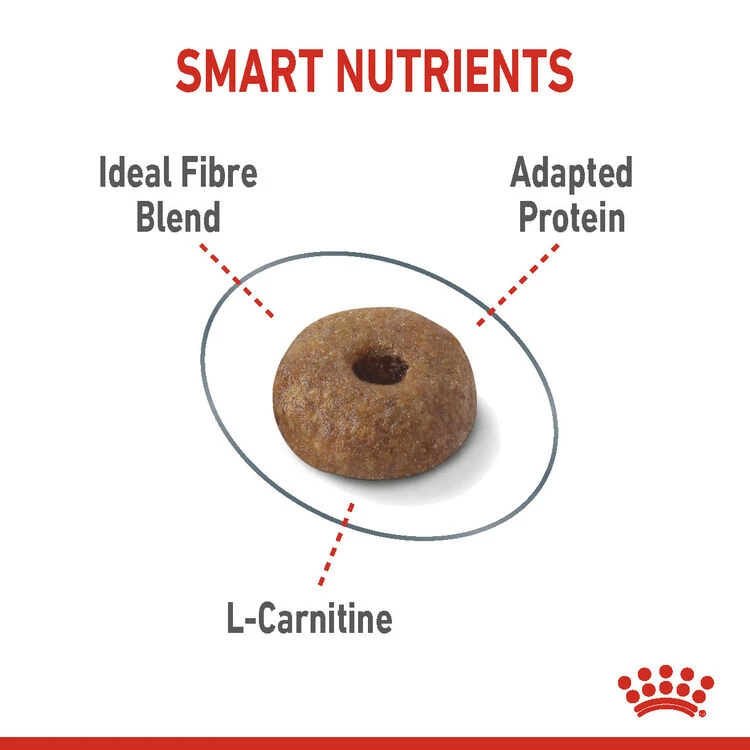 ROYAL CANIN® Light Weight Care Adult Dry Cat Food 8 ROYAL CANIN® Light Weight Care Adult Dry Cat Food - Image 6