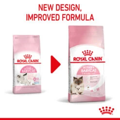 ROYAL CANIN® Mother & Babycat Adult & Kitten Dry Food -Purry Food Sales Store w6wf7yt0x8hyltmkdczh