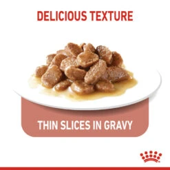 ROYAL CANIN® Appetite Control Care In Gravy Adult Wet Cat Food -Purry Food Sales Store wobb1z0hfvlrhexudvip