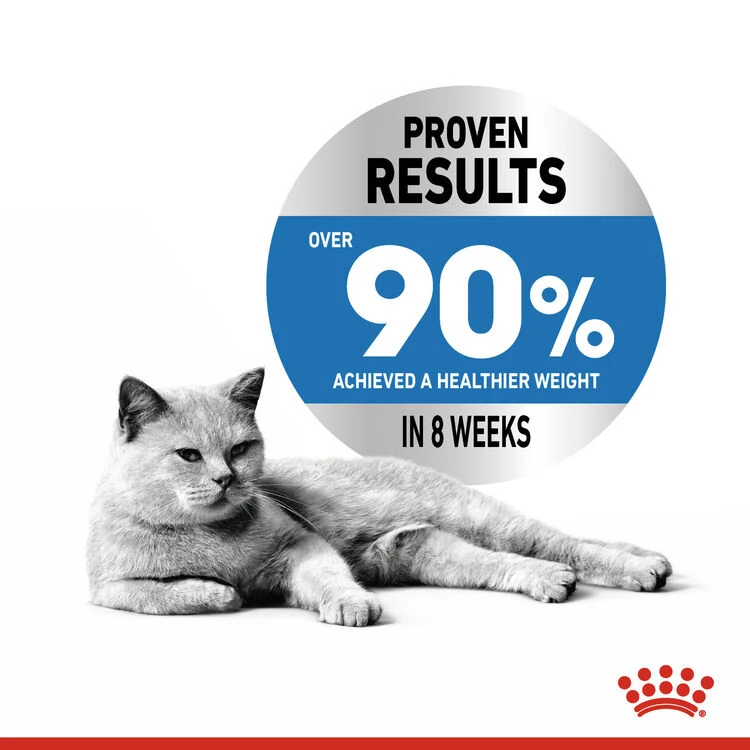 ROYAL CANIN® Light Weight Care Adult Dry Cat Food 7 ROYAL CANIN® Light Weight Care Adult Dry Cat Food - Image 5