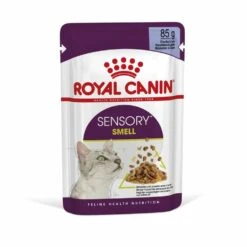 ROYAL CANIN® Sensory Smell In Jelly Adult Wet Cat Food -Purry Food Sales Store xaqxiyoshu7gg6ponahm